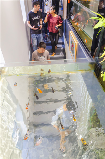 石家庄网站建设