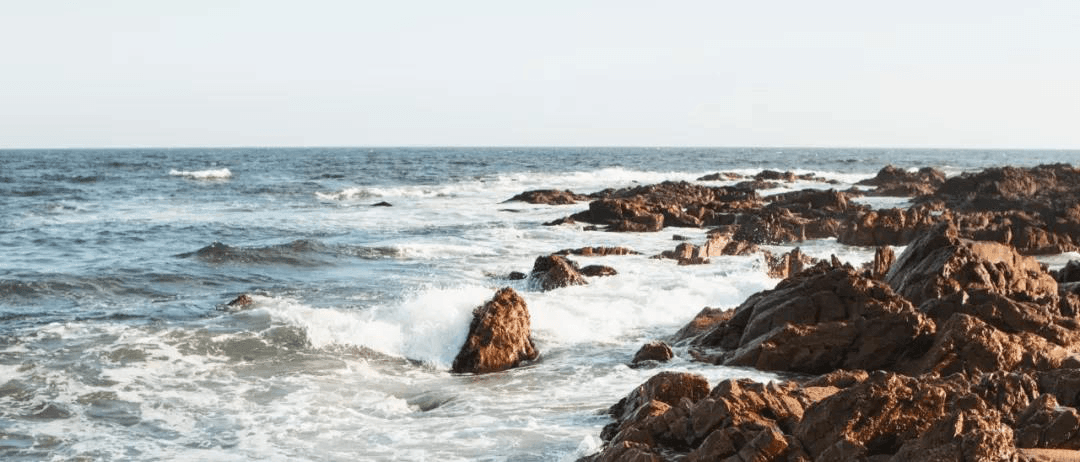 石家庄网站开发