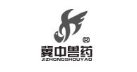 冀中药业