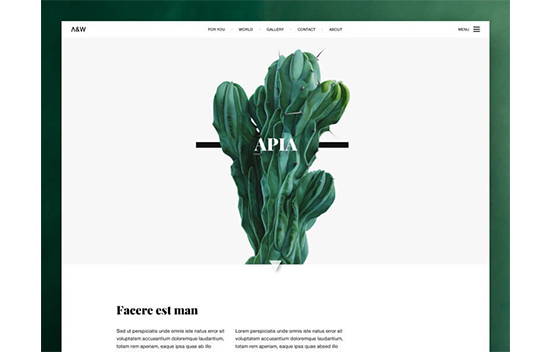 石家庄网站建设