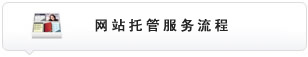 网站托管服务流程