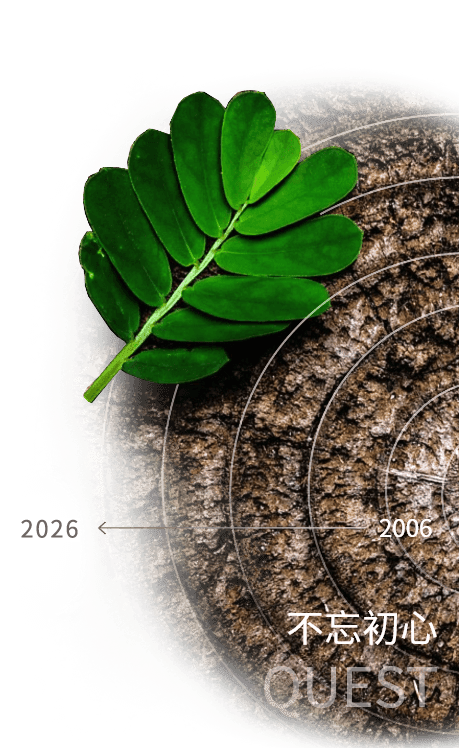 石家庄网站开发