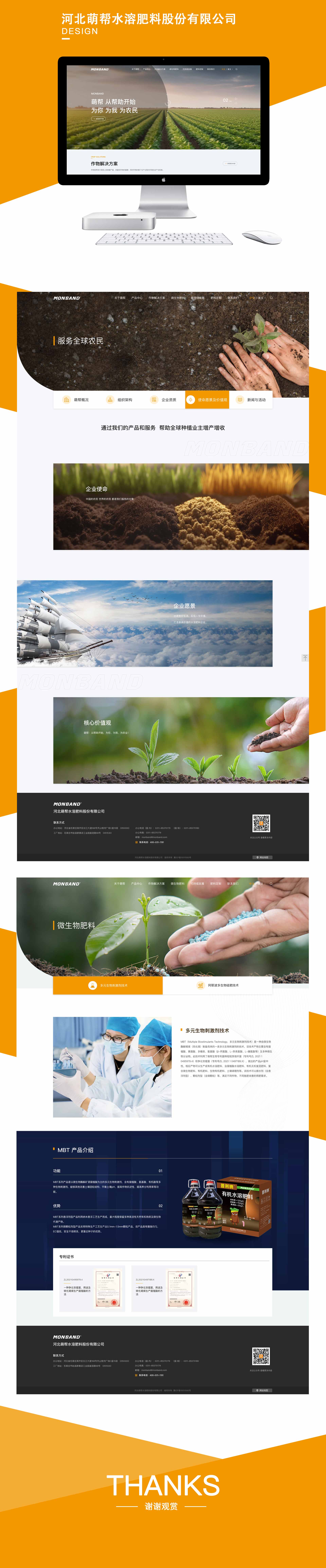 石家庄网站建设